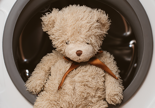 laundering the teddy bear